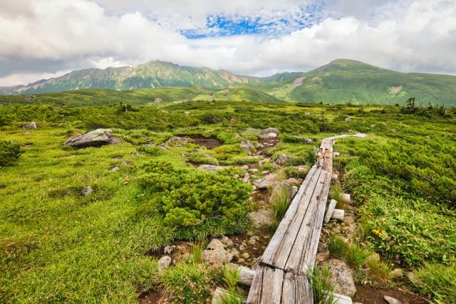 ゴルフ会員権の魅力と選び方ガイド：あなたに最適なコースを見つける